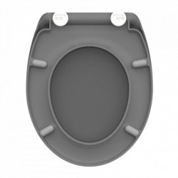 Duroplast Toilet Seat ANTHRAZIT with Soft Close and Quick Release