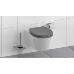 Duroplast Toilet Seat ANTHRAZIT with Soft Close and Quick Release