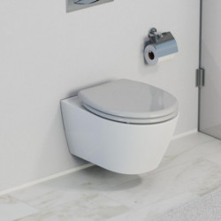 Abattant WC en Duroplast GREY avec Frein de Chute et D&eacute;clipsable