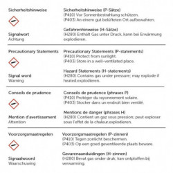 Mehrsprachige Sicherheits- und Gefahrenhinweise mit Gasflaschen-Piktogramm.