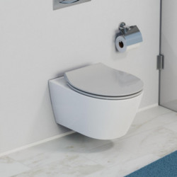 Wandhängendes WC mit geschlossenem Deckel neben Toilettenpapierhalter an Fliesenwand.