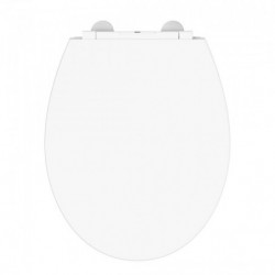 Weißer ovaler Toilettensitz mit sichtbarem Scharnierbereich oben.