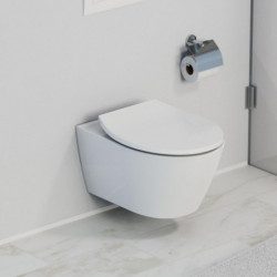 Wandhängendes WC mit geschlossenem Deckel und Toilettenpapierhalter aus Metall