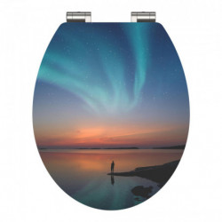 WC-Sitzdeckel mit Motiv eines Polarlichts über einem See in der Dämmerung.