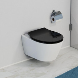 Wandhängendes WC mit schwarzem WC-Deckel und Wandhalterung für Toilettenpapier.