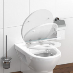 Transparenter Toilettenpapierspender mit Wandhalterung über einem geöffneten WC-Deckel.