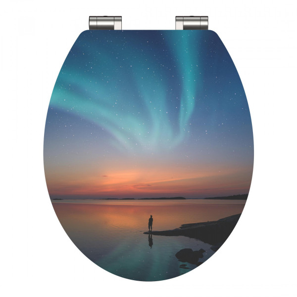 WC-Sitzdeckel mit Motiv eines Polarlichts über einem See in der Dämmerung.