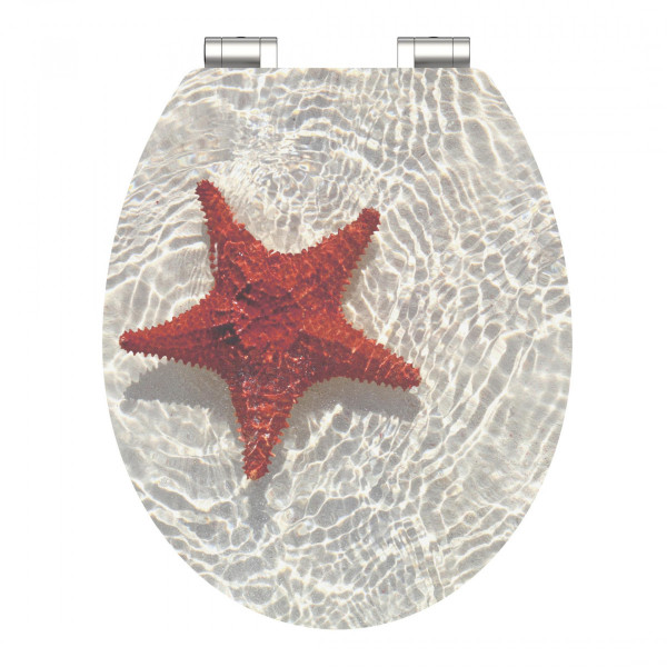 Transparenter Toilettendeckel mit rotem Seesternmotiv und zwei Metallscharnieren.
