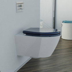 Duroplast Toilet Seat ANTHRAZIT with Soft Close and Quick Release