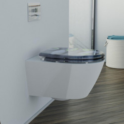 Abattant WC en Duroplast STONE avec Frein de Chute et Déclipsable