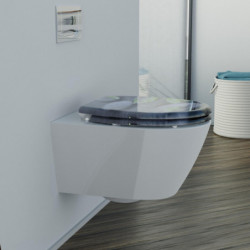 Duroplast WC-Sitz STONE, mit Absenkautomatik und Schnellverschluss