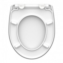 Duroplast High Gloss WC-Sitz RELAXING FROG, mit Absenkautomatik und Schnellverschluss