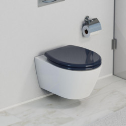 Abattant WC en Duroplast ANTHRAZIT avec Frein de Chute et Déclipsable