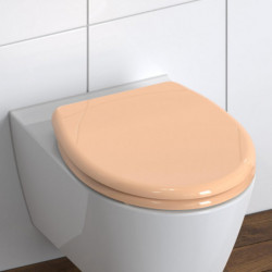 Duroplast WC-Bril BEIGE met Valrem en Afklikbaar