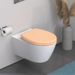 Abattant WC en Duroplast BEIGE avec Frein de Chute et Déclipsable