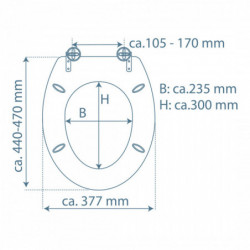 Duroplast Toilet Seat with soft close