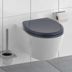 Abattant WC en Duroplast ANTHRAZIT avec Frein de Chute et Déclipsable