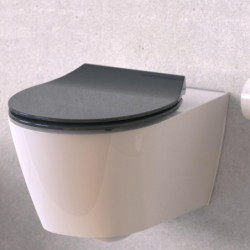 Duroplast Toilet Seat Ultra Thin SLIM ANTHRAZIT with Soft Close and Quick Release