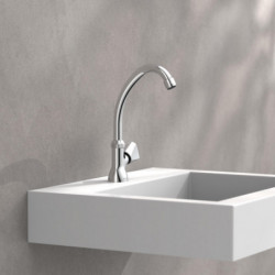 CARNEO Cold water swivel tap, chrome